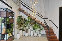 אסיה ריזורט 25