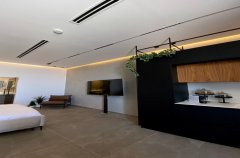 Suite Of Dreams 13