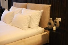 Suite Of Dreams 44