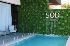 Suite Of Dreams 43