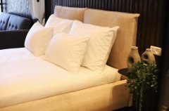 Suite Of Dreams 49