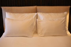 Suite Of Dreams 52