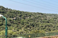 אחוזת מנות בוטיק 33