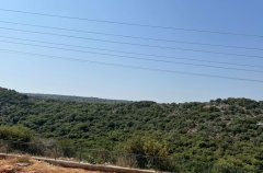 אחוזת מנות בוטיק 30