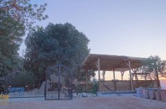 אחוזת טוקאי 41