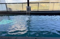 אחוזת מוריאנה 34