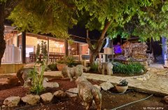 וילה אחוזת נתיב 41