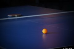 וילה אחוזת נתיב 45