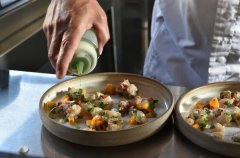 וילה אחוזת נתיב 33