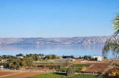 וילה מגדל 48