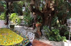 וילה De Caesarea 48