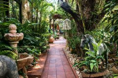 וילה De Caesarea 58