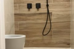 שלוות ענהאל 29