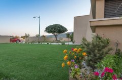 שלוות ענהאל 2